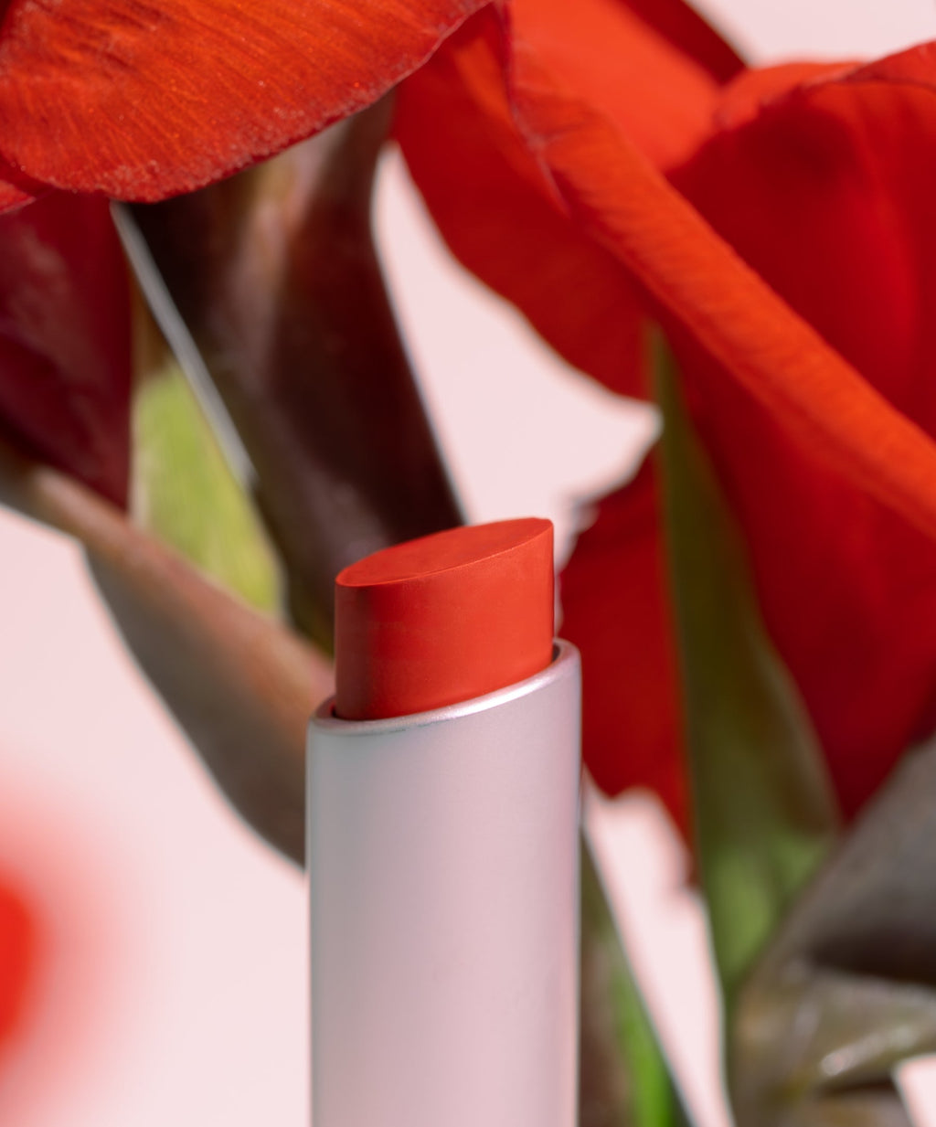 Wild With Desire Lipstick - Polished Daily Care