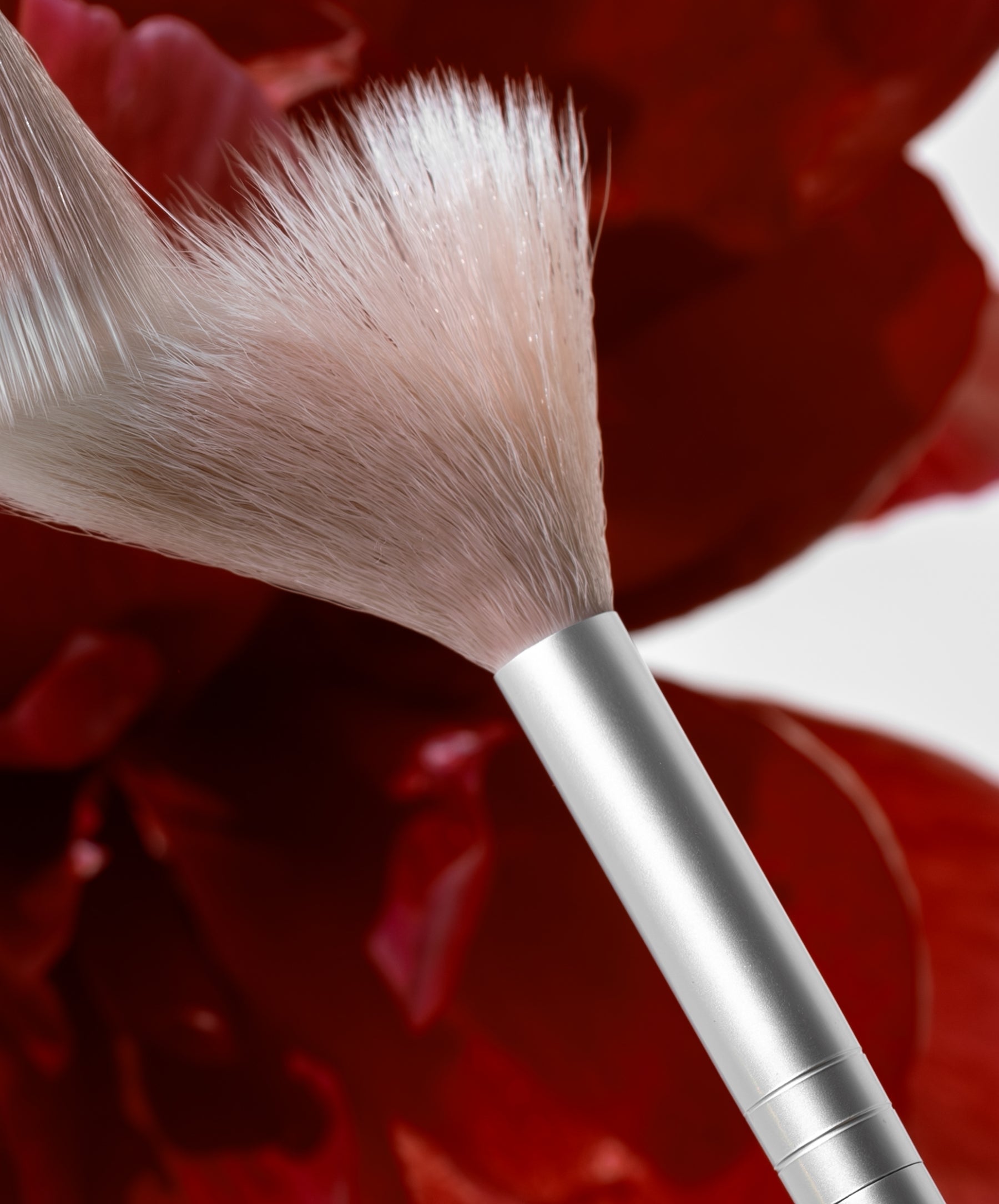 Skin2Skin Classic Fan Brush - Polished Daily Care