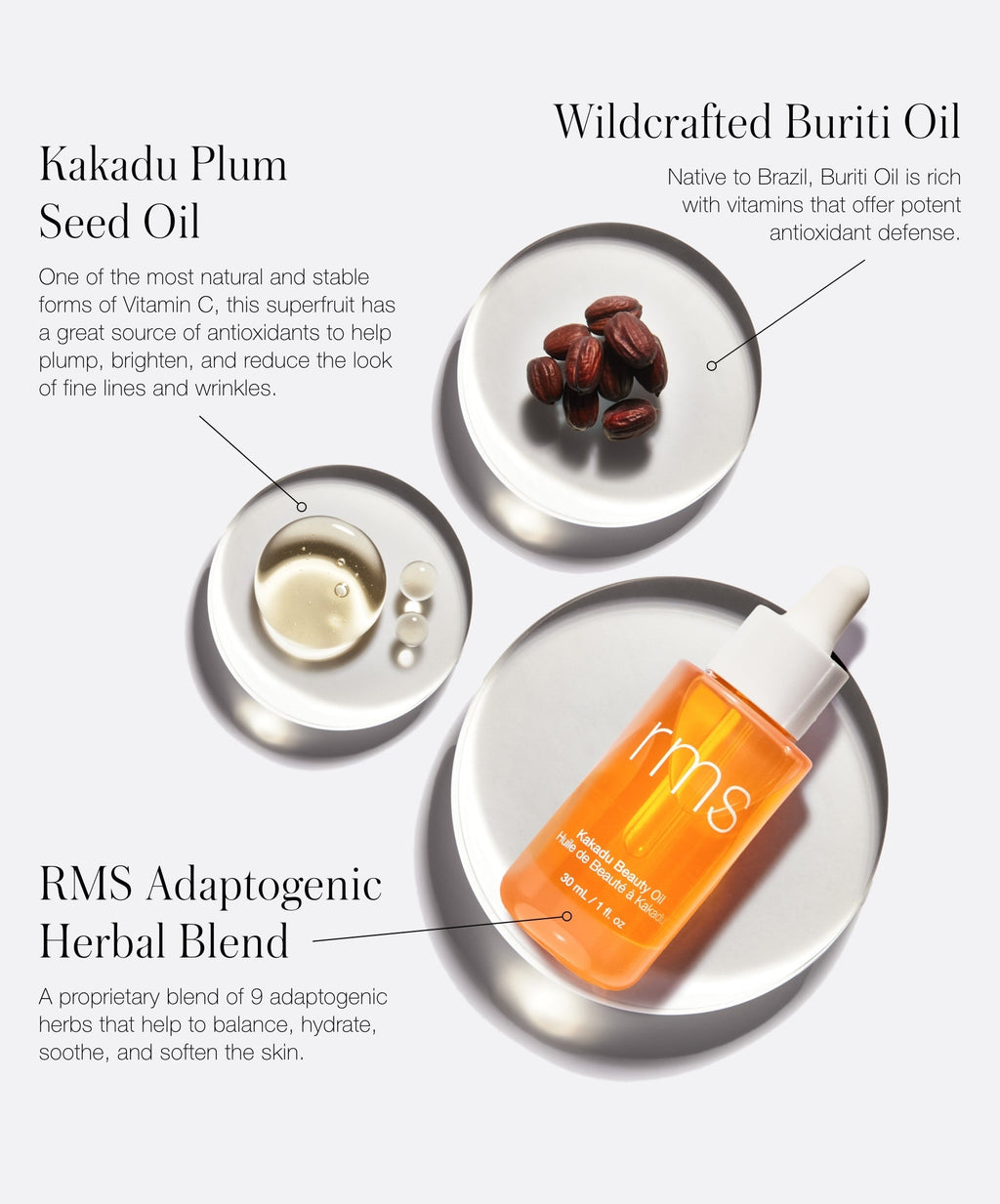 The New Skincare Lineup - Polished Daily Care