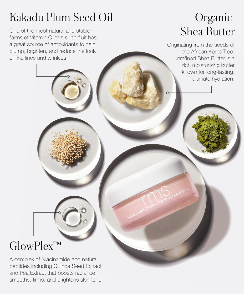 The New Skincare Lineup - Polished Daily Care